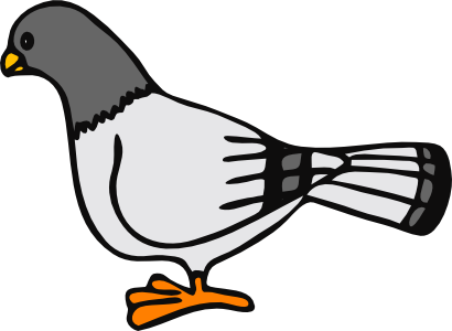 Pigeon voyageur Biacelli